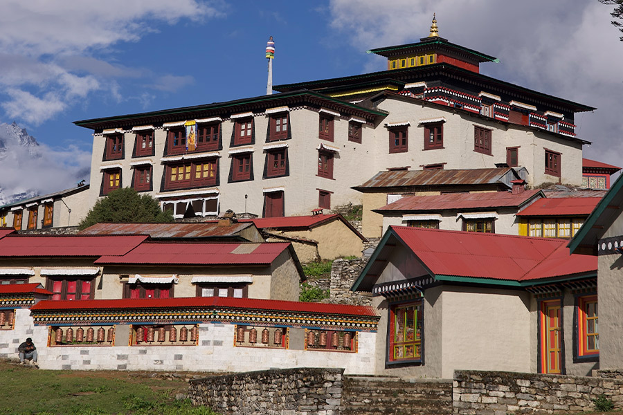 Elevated Realms: Trekking Everest the Harmony Way